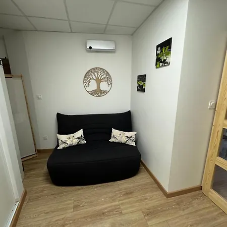 Apartmán Cosy Au Coeur De *